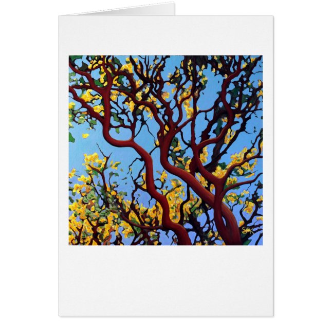 Manzanita in Autumn (Front)