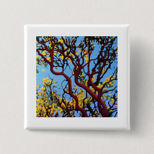 Manzanita in Autumn 2 Inch Square Button