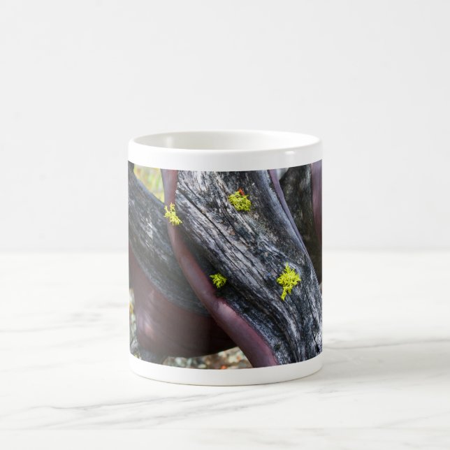 Manzanita Mug (Center)