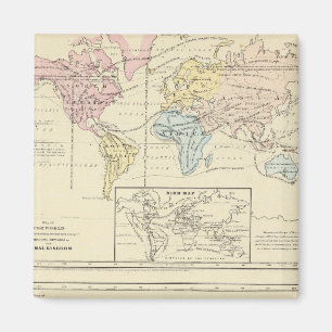 Map in colour of The World Magnet