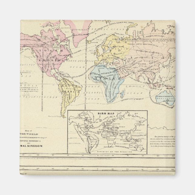 Map in colour of The World Magnet (Front)