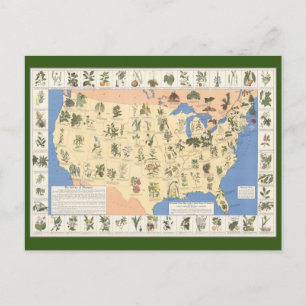 Map of Herbal Remedies postcard