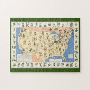 Map of Herbal Remedies puzzle