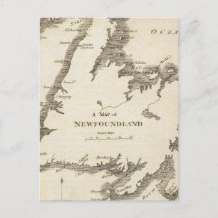 Map of Newfoundland Postcard