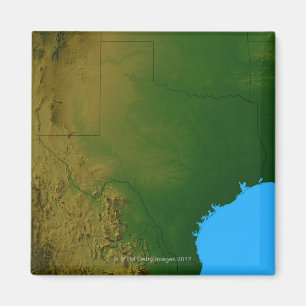 Map of Texas Magnet