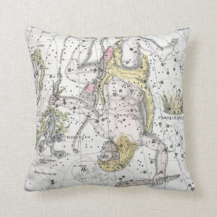 Map of The Constellations Plate VIII Throw Pillow