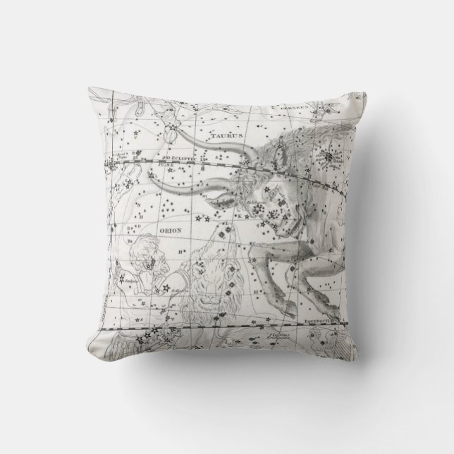 Map of The Constellations Plate XIV Throw Pillow (Front)