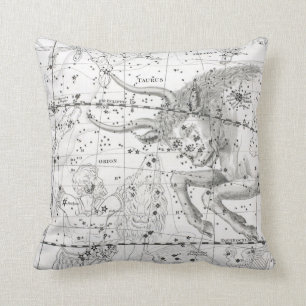 Map of The Constellations Plate XIV Throw Pillow