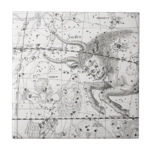 Map of The Constellations Plate XIV Tile