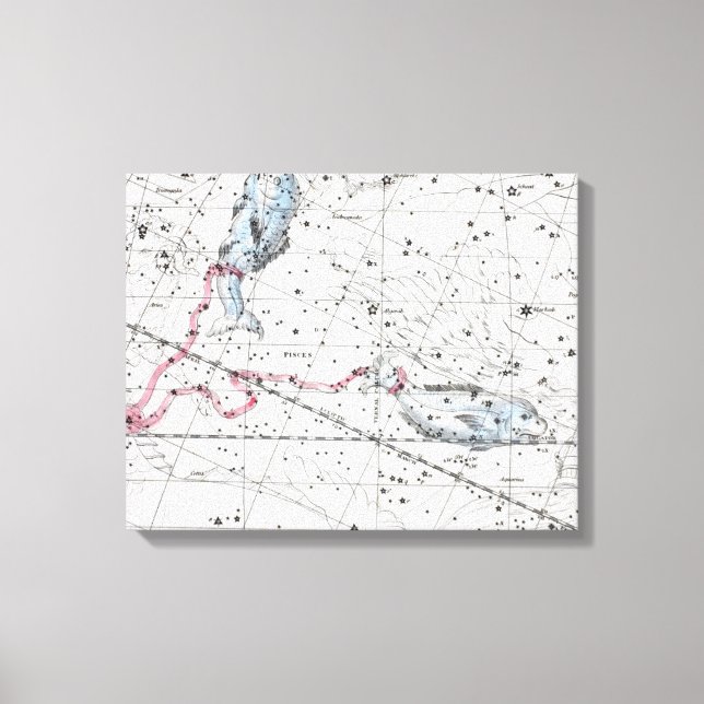 Map of The Constellations Plate XXII Canvas Print (Front)