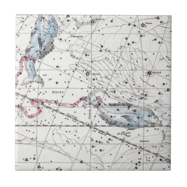 Map of The Constellations Plate XXII Tile (Front)