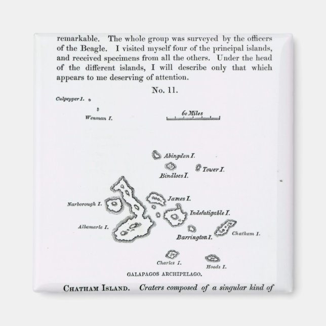 Map of the Galapagos Archipelago, 1844 Magnet (Front)