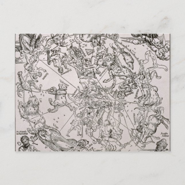 Map of the Northern Sky Postcard (Front)