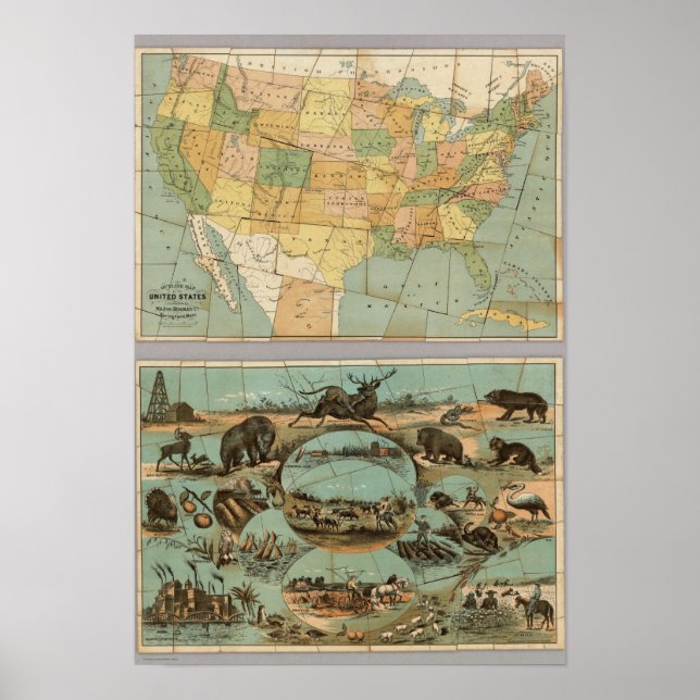 Map of the United States of America 2 Poster (Front)