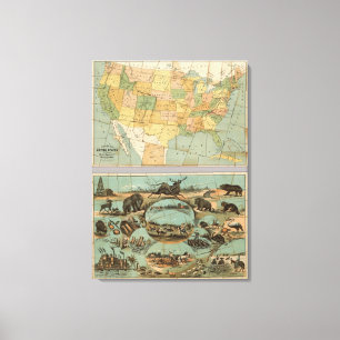 Map of the United States of America 3 Canvas Print