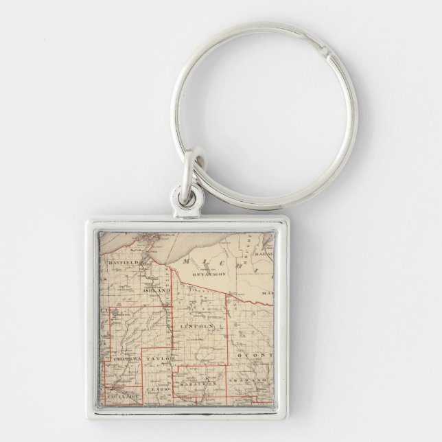 Map of Wisconsin, showing assembly districts Keychain (Front)