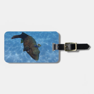 Map puffer luggage tag