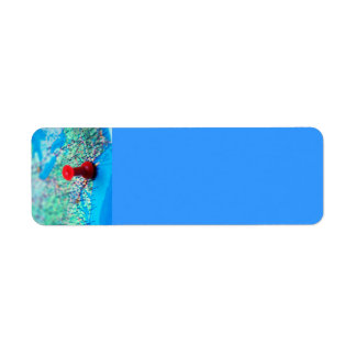 Map-with-pin-on-Washington MAP BLUE OCEAN LAND WAS