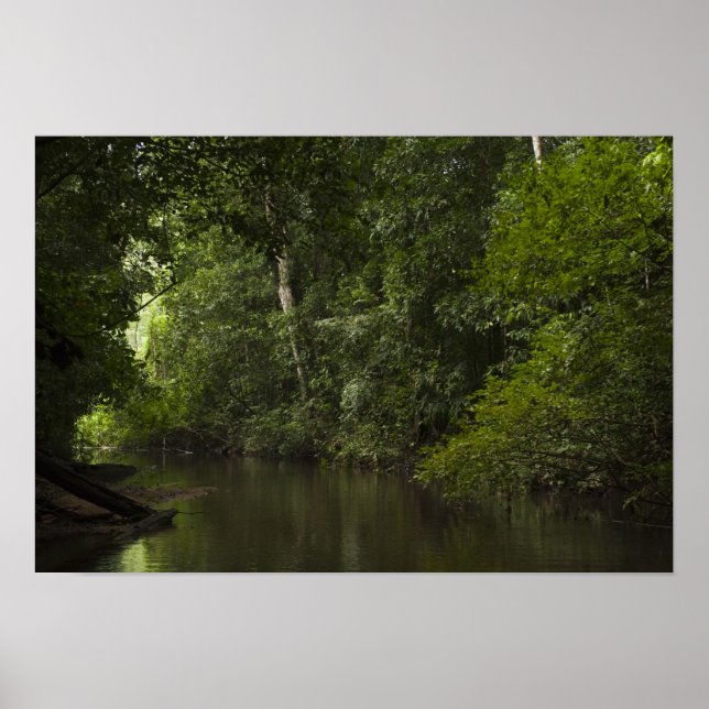 Mapari River, Mapari Rupununi, Guyana. Poster (Front)