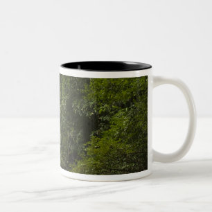 Mapari River, Mapari Rupununi, Guyana. Two-Tone Coffee Mug