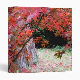 Maple and Cedar Binder