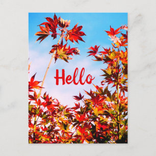 Maple (Customizable Text) Postcard