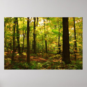 "Maple Forest" Poster