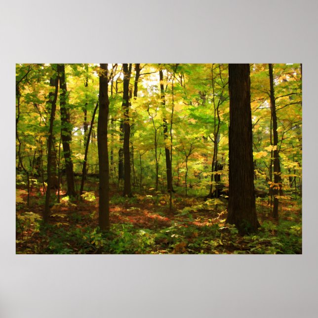 "Maple Forest" Poster (Front)