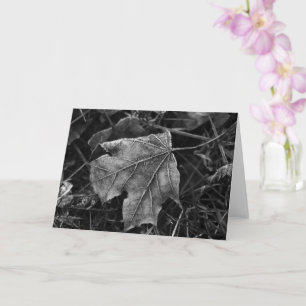 Maple Frost Nature Photography Blank Card