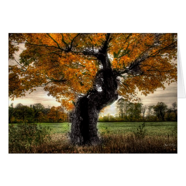 Maple Giant: card (Front Horizontal)