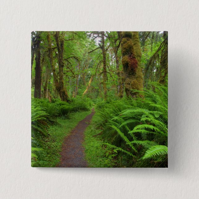 Maple Glade trail, ferns and moss covered 2 Inch Square Button (Front)