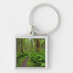 Maple Glade trail, ferns and moss covered Keychain