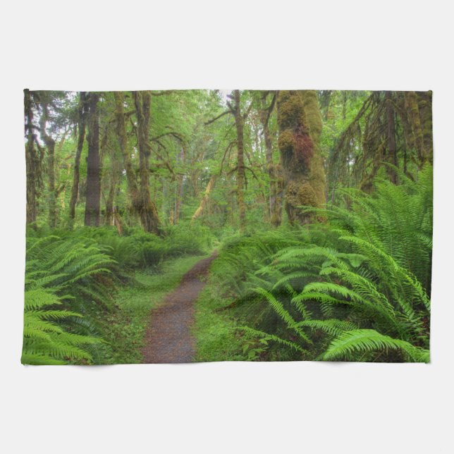 Maple Glade trail, ferns and moss covered Kitchen Towel (Horizontal)