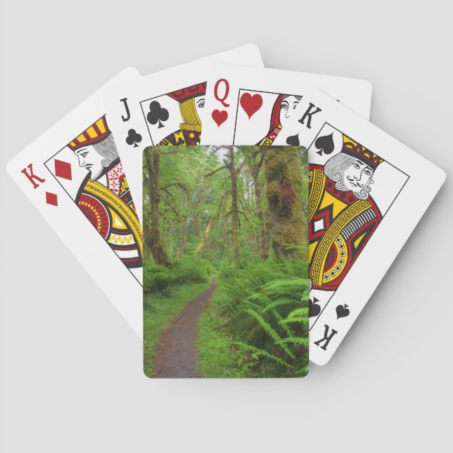 Maple Glade trail, ferns and moss covered Playing Cards (Back)