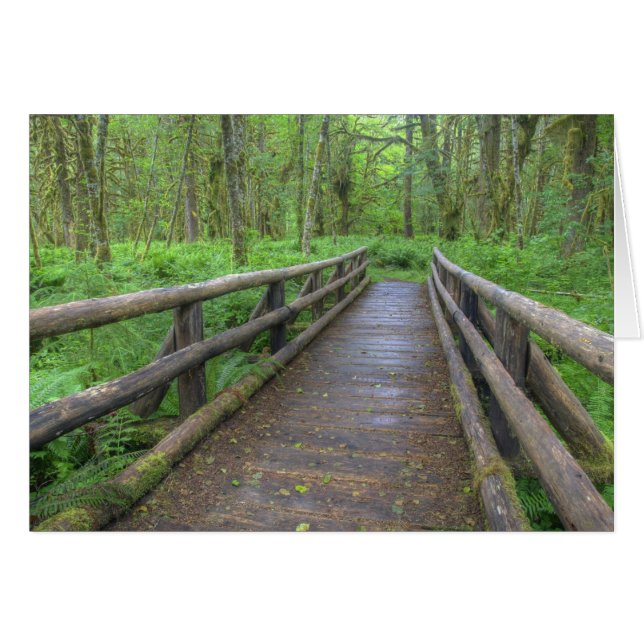 Maple Glade trail wooden bridge, ferns and (Front Horizontal)