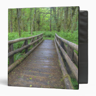 Maple Glade trail wooden bridge, ferns and Binder