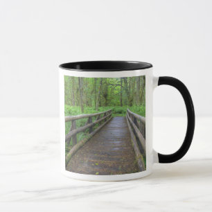 Maple Glade trail wooden bridge, ferns and Mug