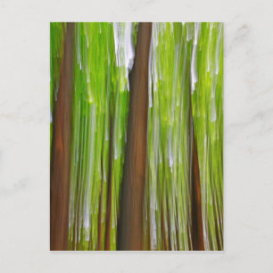 Maple Grove Abstract Postcard