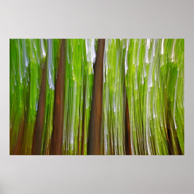 Maple Grove Abstract Poster (Front)