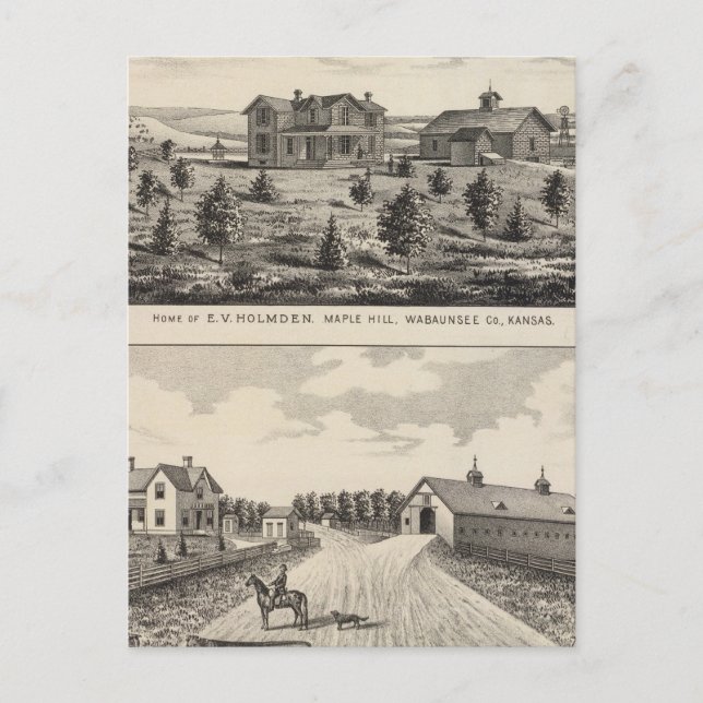 Maple Hilland Silver Spring Ranch, Kansas Postcard (Front)