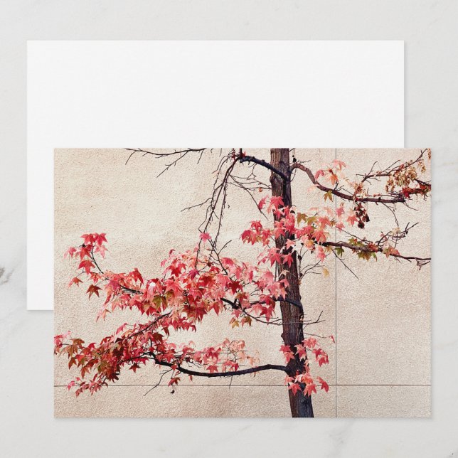 Maple Holiday Card (Front/Back)