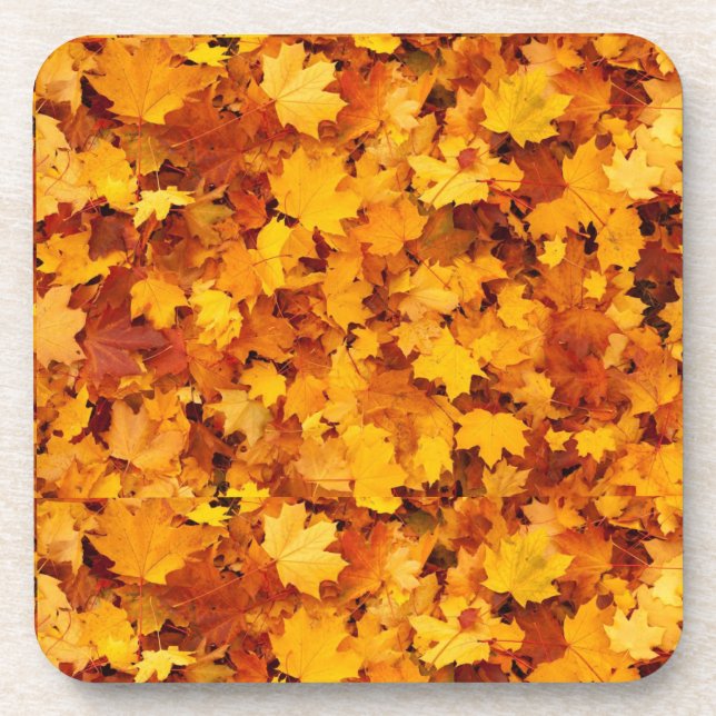 Maple leaf Design Coaster (Front)