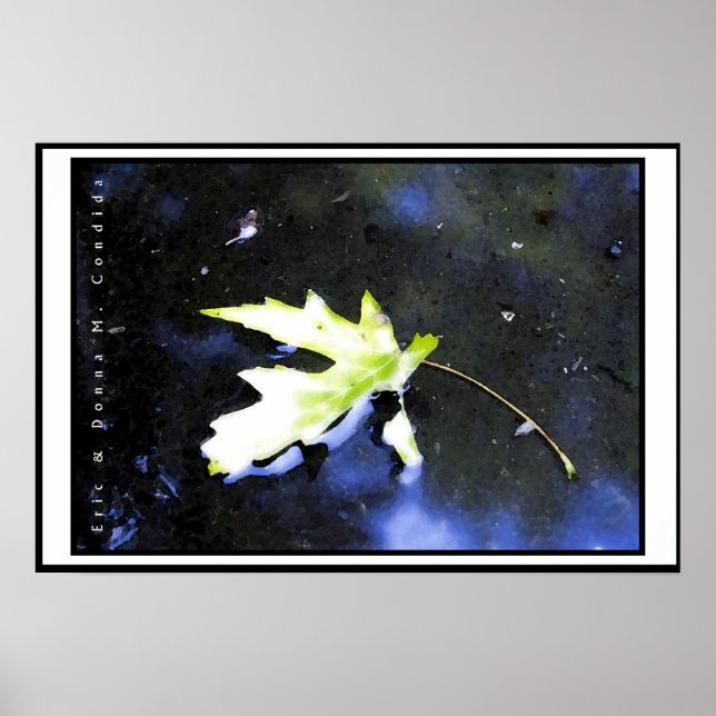 Maple Leaf I Poster (Front)