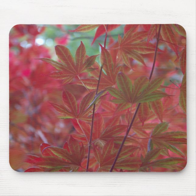 Maple Leaf Mousepad (Front)