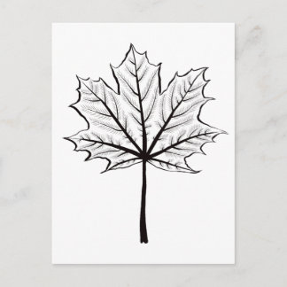 Maple Leaf Outline Art - Botanical Colouring Postcard