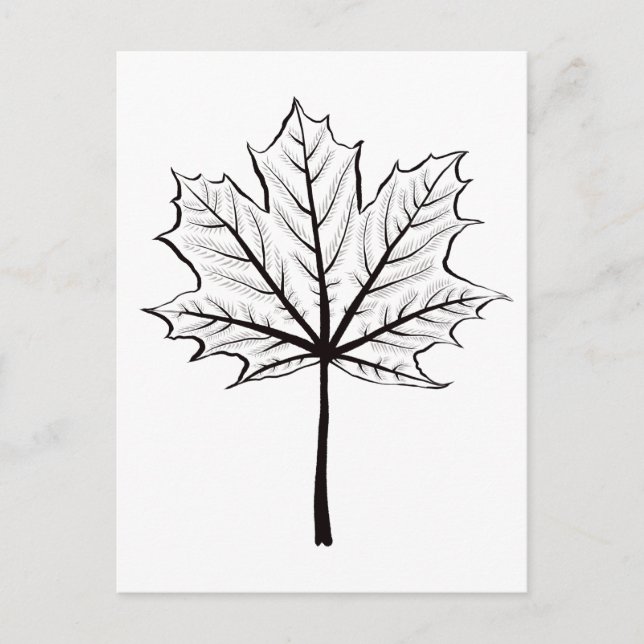 Maple Leaf Outline Art - Botanical Colouring Postcard (Front)