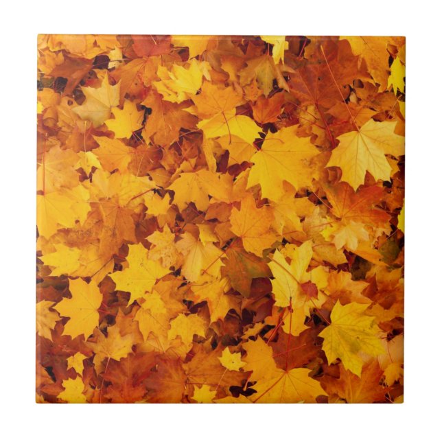 Maple Leaf Pattern-25877 Tile (Front)