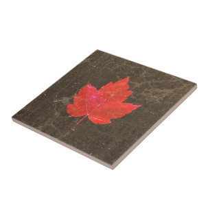 Maple Leaf Red Brown Autumn Country Texture Tile