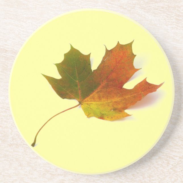 Maple Leaf Sandstone Coaster (Front)
