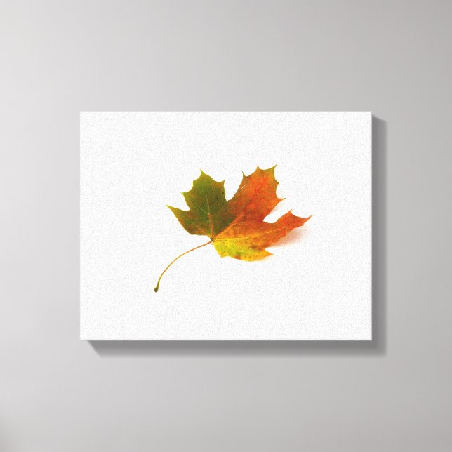 Maple Leaf Wrapped Canvas (Front)